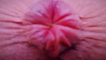 Compilation Dump Set 177 Videos P3