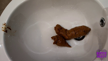 Huge dump in fancy hotel bidet