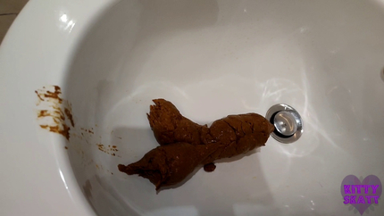 Huge dump in fancy hotel bidet