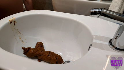 Huge dump in fancy hotel bidet