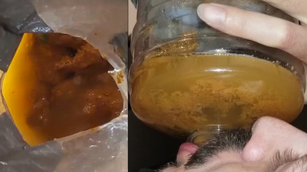 CONSTIPATED LOGS & TRULY CLOSE-UP VIEW