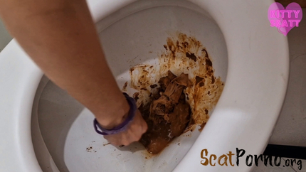 Kitty Skatt - Toilet Aclogcalypse Disasters