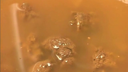 Fetidistrojp – Enema Initation!