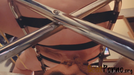 A Convenient Human Toilet