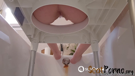 Miss Lith Domina - Farting, Pooping and Pissing on You P1