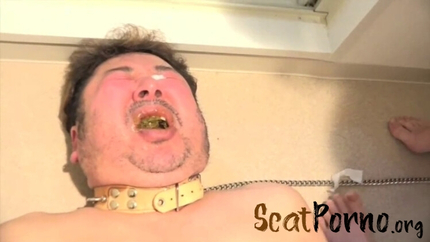 Fetidistrojp - Calling Scat Service