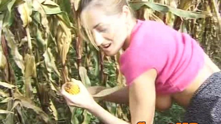 Fanny Steel - Corn Medow