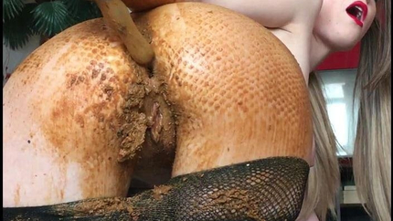 JosslynKane - Happy Shitty Day with Harley