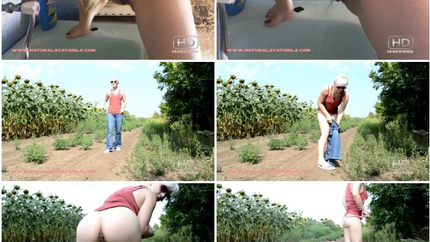 Outside Poop fertilize a field of sunflowers. P1