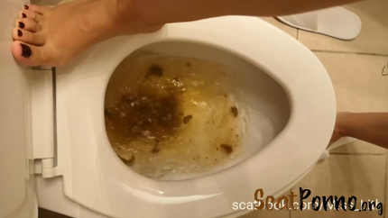 Scat Verbal Humiliation The Toilet is Сlogged P1