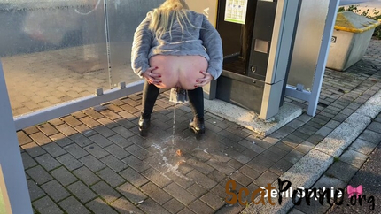 Devil Sophie - Shed on ticket machines - now fully lubricated