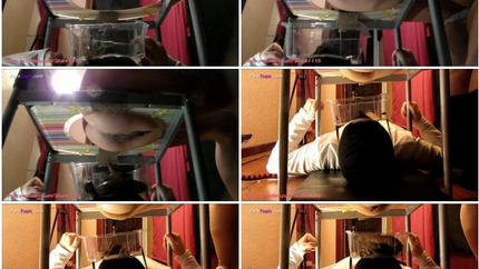 Four mistresses shit on their toilet slave's face! P1