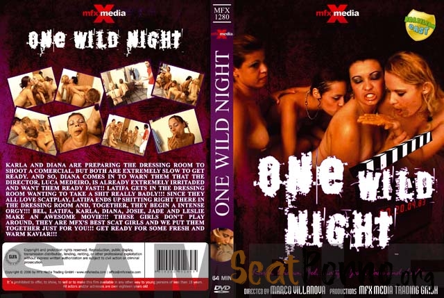 Latifa, Karla, Bel, Diana, Leslie, Josie, Jade - MFX-1280 One Wild Night