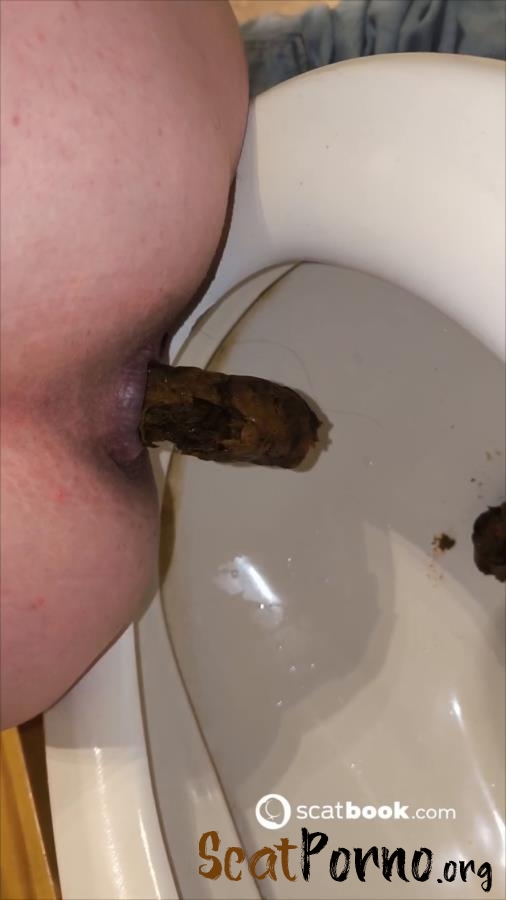 Fast wc-darkfans