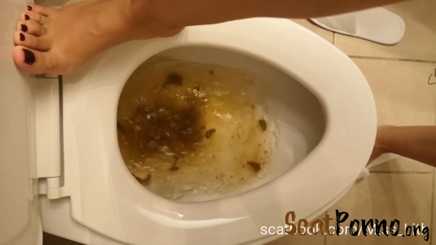 Scat Verbal Humiliation The Toilet is Сlogged P1