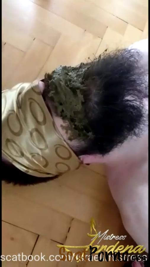 Scat lunch for my dirty slut P1
