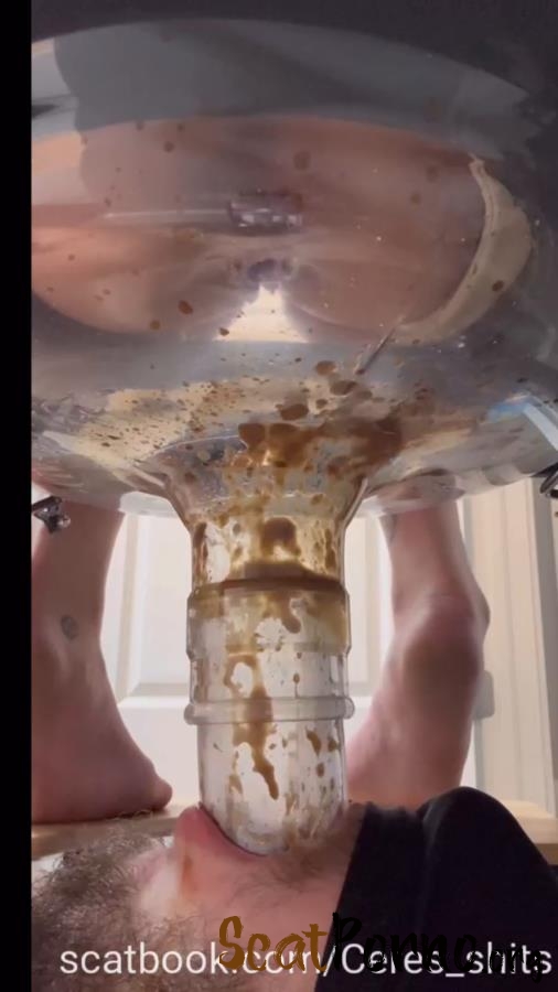 A Day of Shitting Down My Toilet's Throat P1