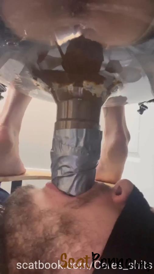 Toilet Annihilation with Goddess Ceres P1