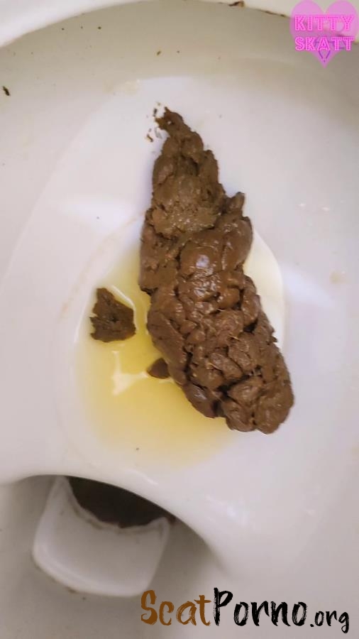 Kitty Skatt - EFRO toilet orgasm