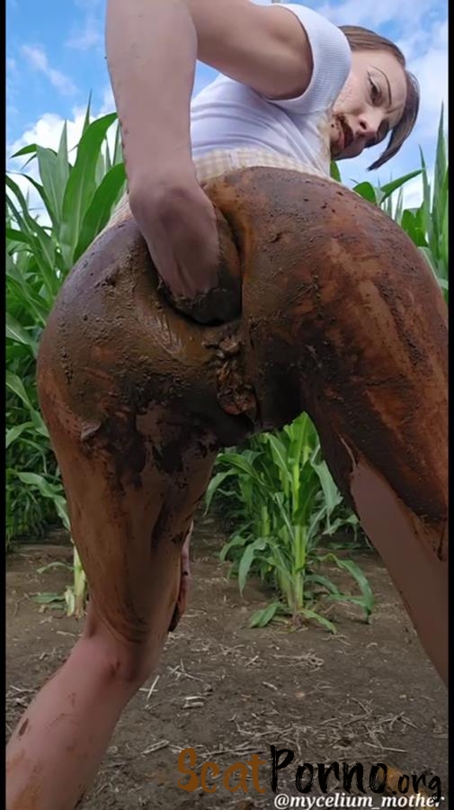 Mycelium Mother - The A-maize-ing Mycelium mother