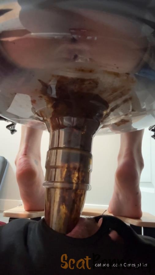 Goddess Ceres - Daily Toilet Torture » Mixfemdomcc - Latest Femdom Porn for Online Streaming